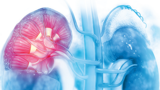 Нефрология