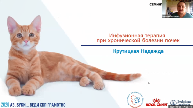 терапия ХБП1