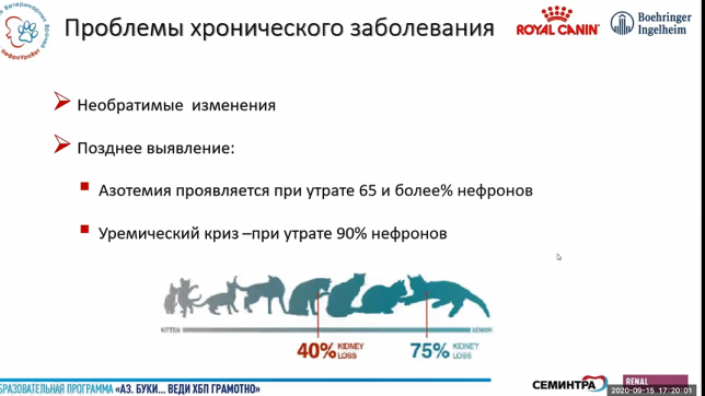 ранняя диагностика