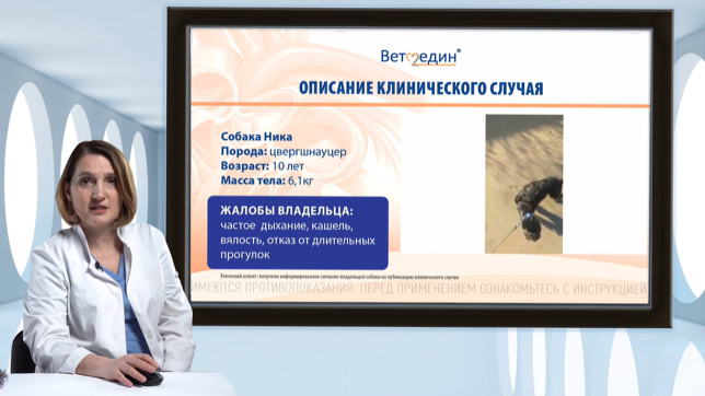 илларионова 