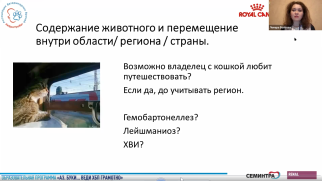 войтова теория