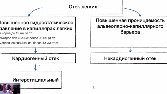 комолов ветмедин 5