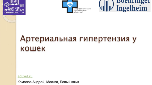 комолов ветмедин8