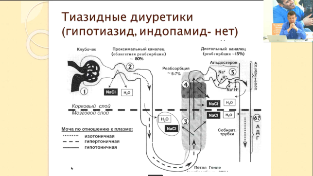 диуретики комолов