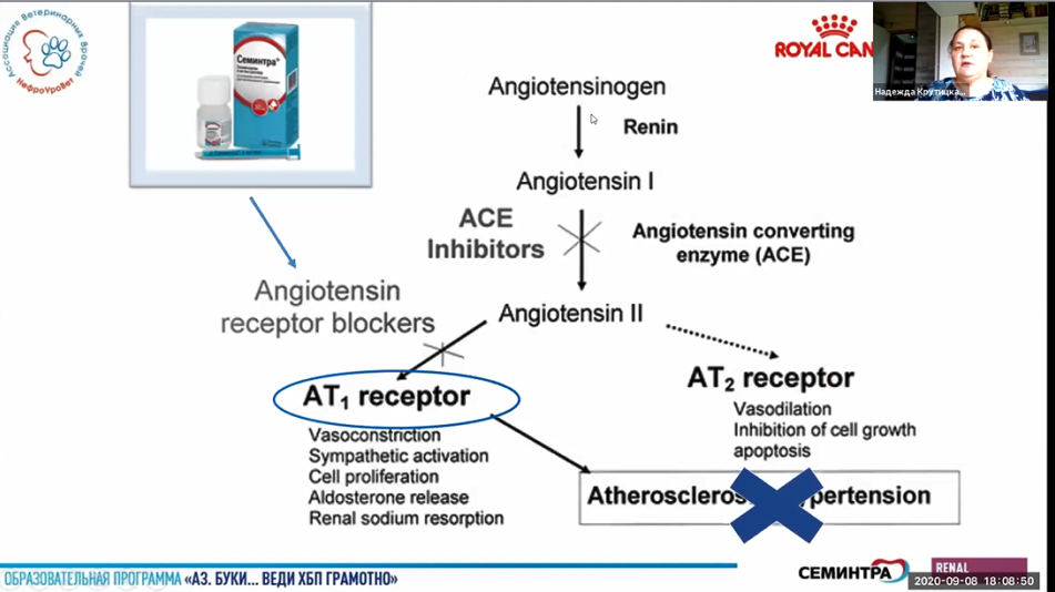 лечение хбп 2