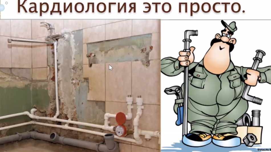 Комолов Ветмедин2