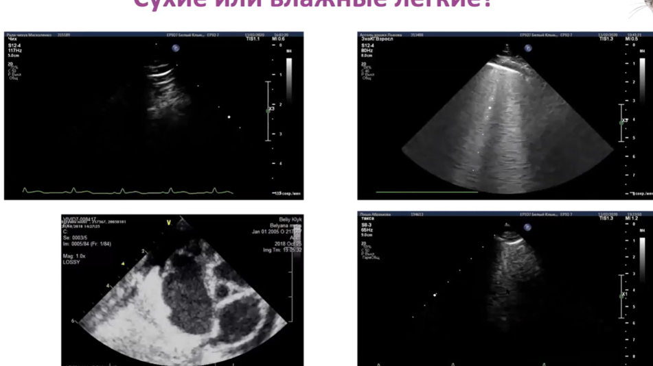 комолов ветмедин7