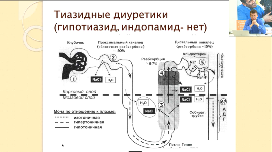 диуретики комолов